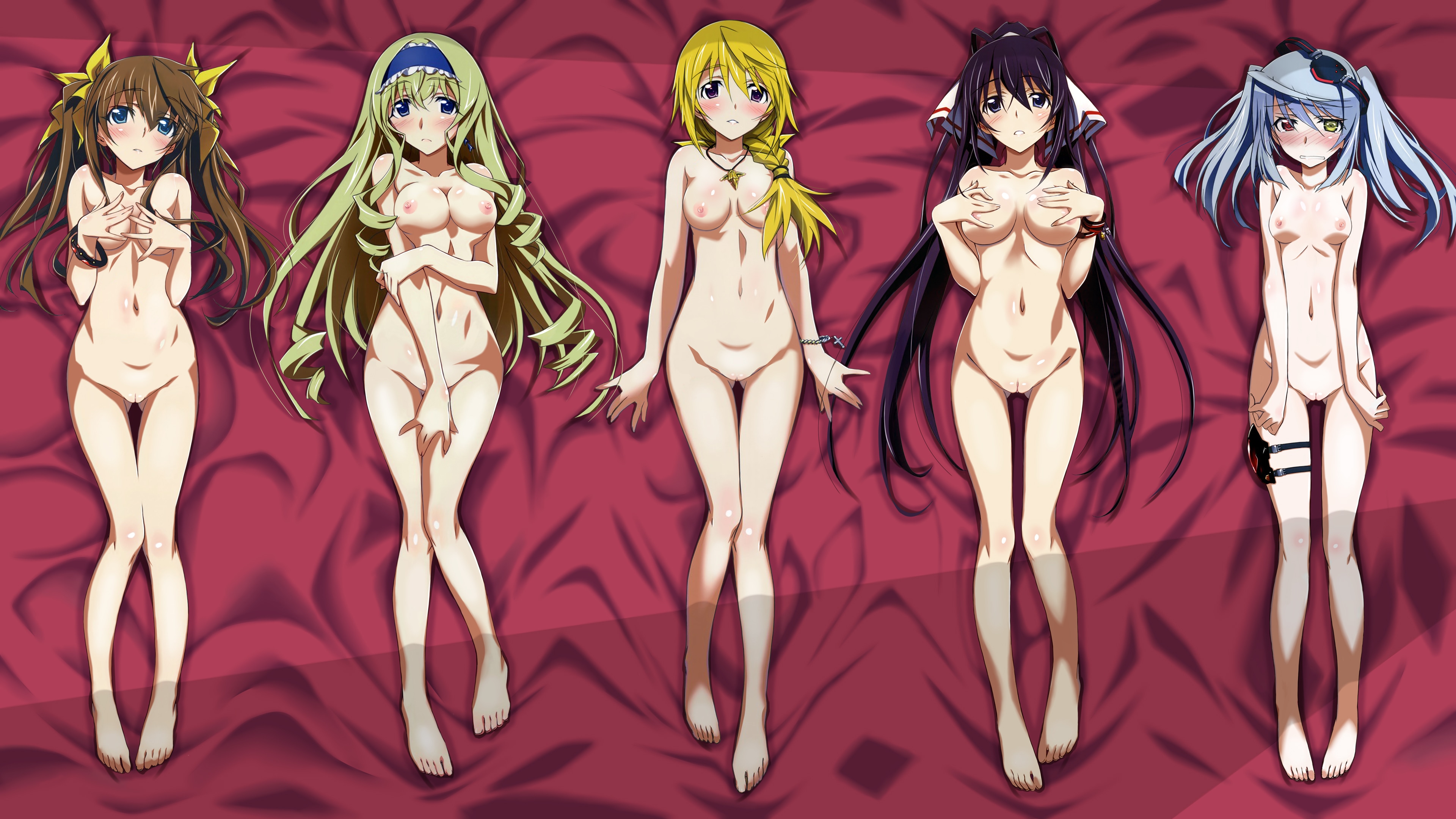 Infinite Stratos IS stripped Photoshop and erotic images part 30 - 2/58 - H...